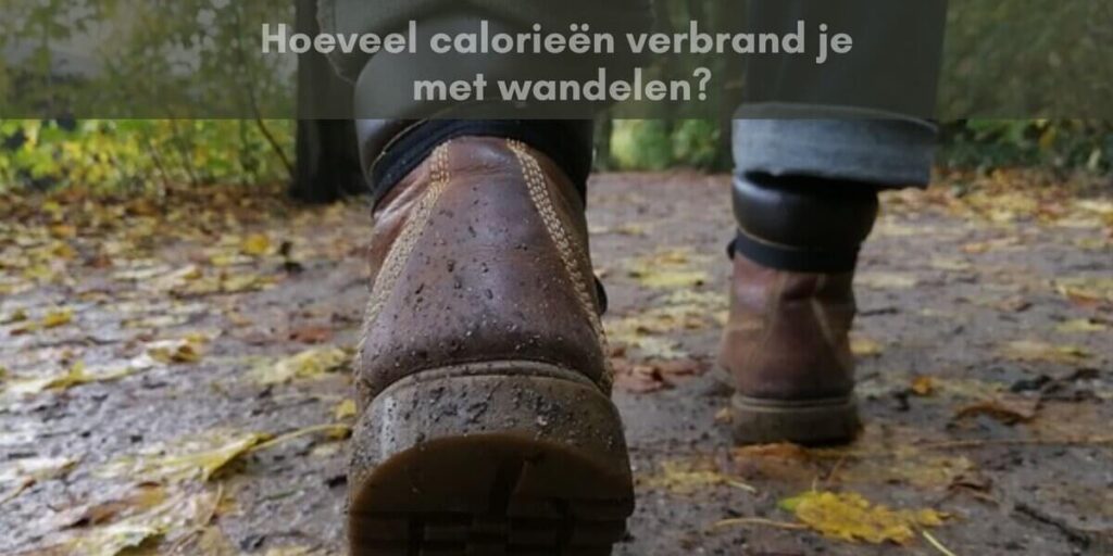 Wandelende persoon door het bos die hierdoor calorieën verbrandt.