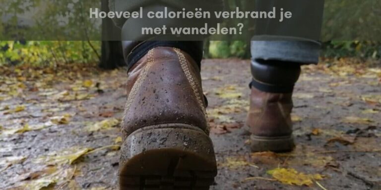 Wandelende persoon door het bos die hierdoor calorieën verbrandt.