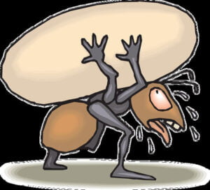 Zwetende mier. Bouw het wandelen rustig op en werk je niet in het zweet.