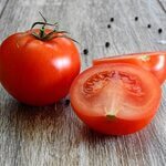 Tomaten voor een heerlijke groente omelet.