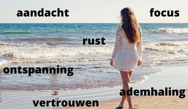 Alle zaken beschreven die je leert tijden de Mindful Walk cursus.