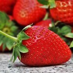 Heerlijke aardbeien voor in de aardbeien soep.
