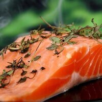 Zalm voor een koolhydraatarm recept.