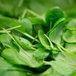 Spinazie blaadjes voor smoothie.