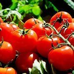 tomaten voor zelfgemaakte koolhydraatarme tomatensaus