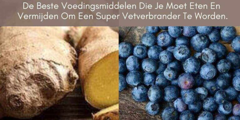 De Beste Voedingsmiddelen Die Je Moet Eten En Vermijden Om Een Super Vetverbrander Te Worden. Gember en blauwe bessen.